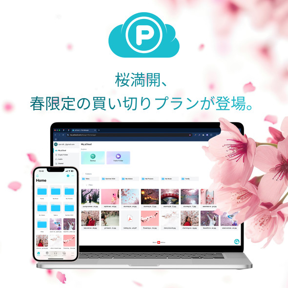 【PR】pcloud ／ 買い切り型クラウドストレージｐ
