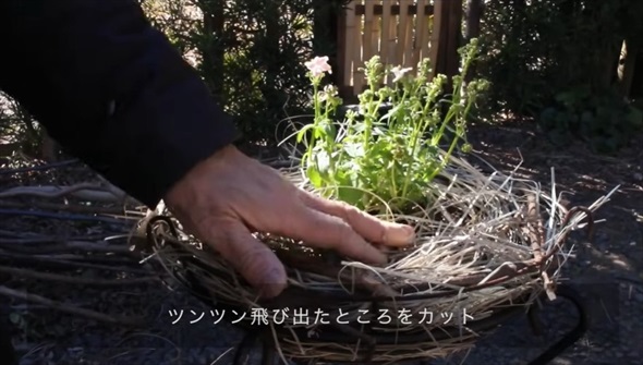 趣味が違う夫と田舎の古民家で暮らしたら