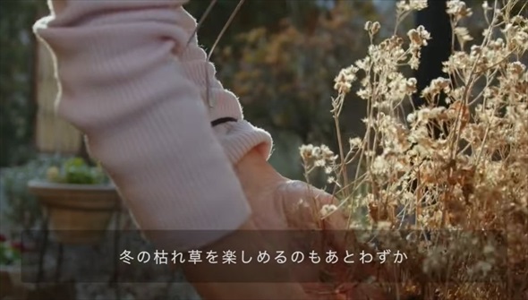 趣味が違う夫と田舎の古民家で暮らしたら