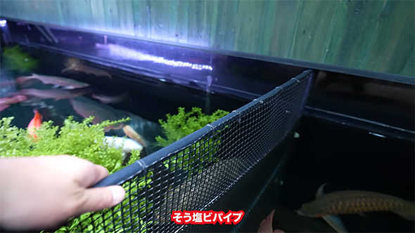 塩ビパイプ