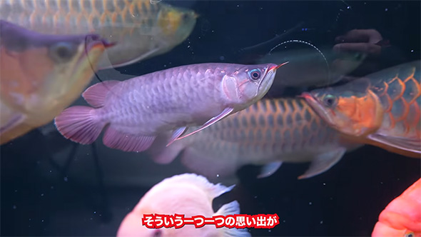 そういう1つ1つの