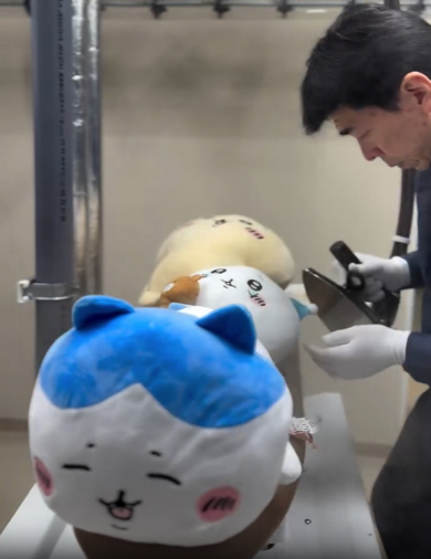 幸せそうな様子のハチワレ