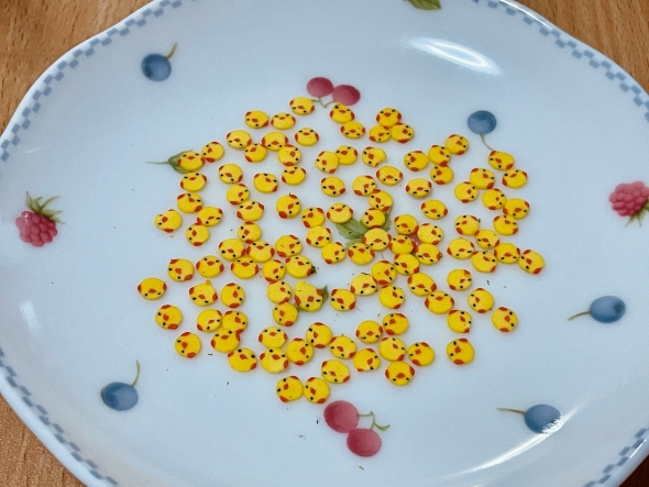 丸美屋のひよこチップ入りのりたまの仕分け