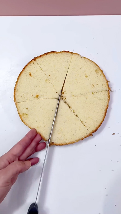 ハンギョドンの色違いケーキ