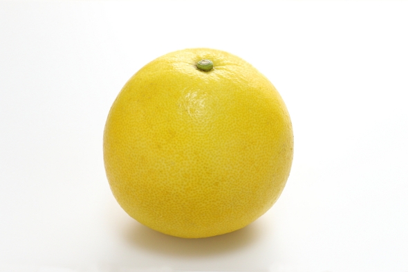 土佐文旦 柑橘類 フルーツ