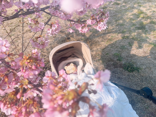アドバイスどおりに撮った写真
