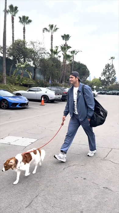 大谷選手らドジャース選手陣の愛車