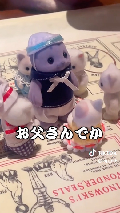 なんか違う“シル活”の様子