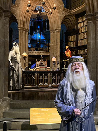 75歳のダンブルドアコスプレ