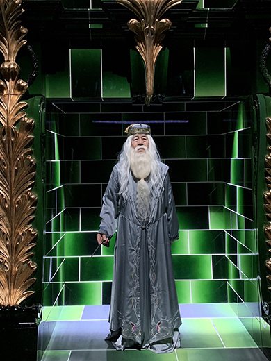 75歳のダンブルドアコスプレ