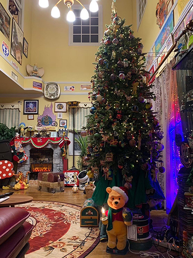 圧巻のディズニーコレクションハウス