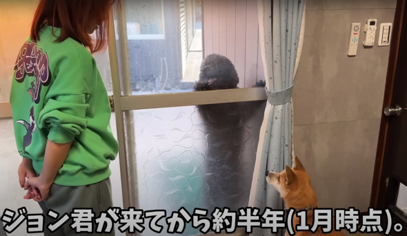 過酷な環境で育ったワンコのその後