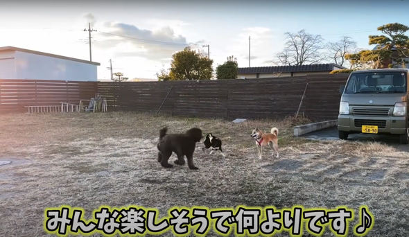 これからも幸せに暮らしてね