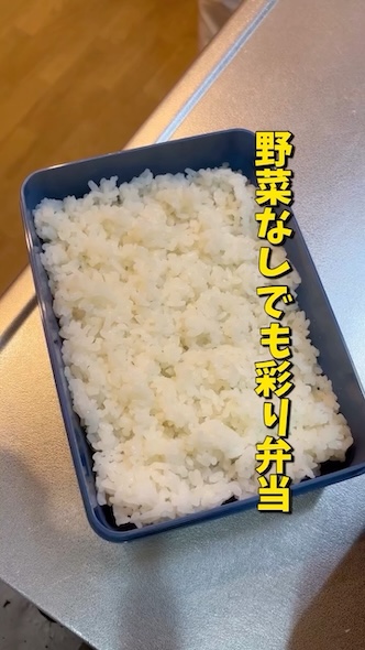 何ものっていない白飯だけのお弁当箱