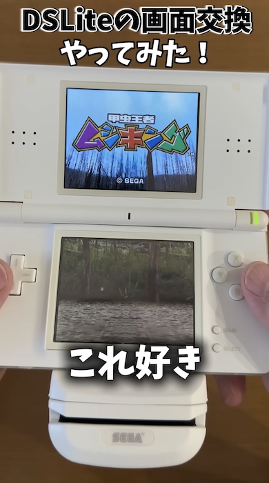 ニンテンドーDS Liteの画面交換