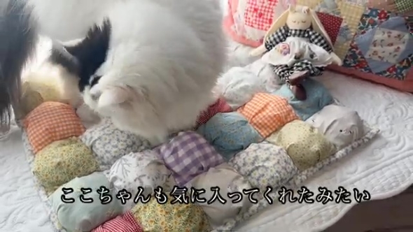 完成したパフキルトとその上に乗るニャンコ