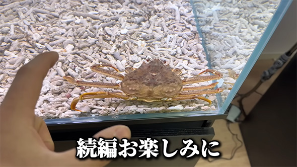 続編お楽しみに