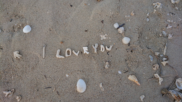 沖縄旅行 見つけた サンゴ文字 メッセージ