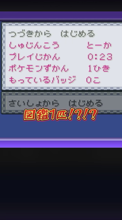 ラベル無しのGBAソフトを購入