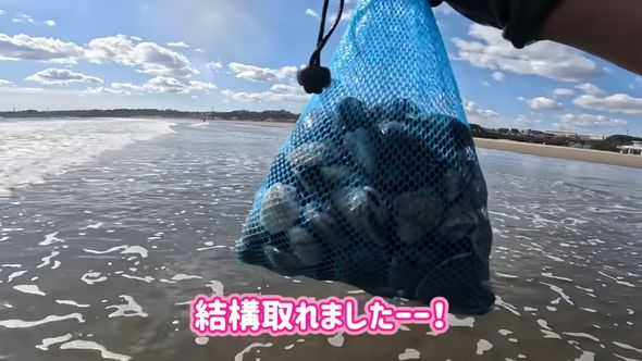 袋にたくさん入っている二枚貝