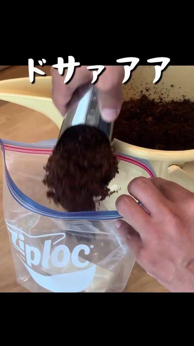 フリーザーバッグに土を詰める