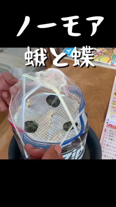 ストローとネットで作った防護ネットをかぶせる