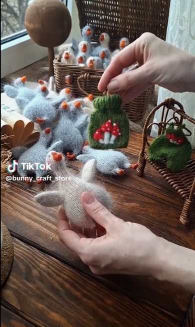 ガチョウのお洋服を選ぶ様子