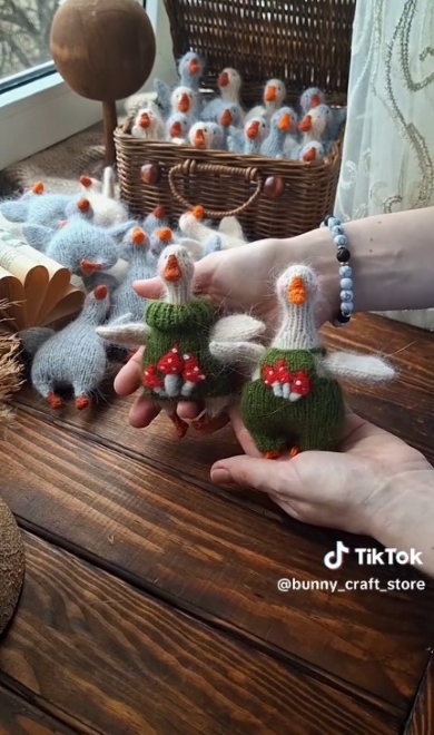 2匹のガチョウをおめかし