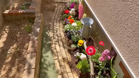 完成した花小道