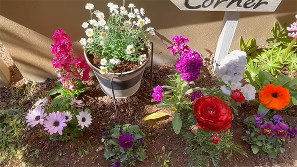 植木鉢プランター