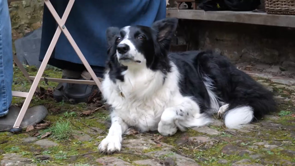 イギリス 田舎 築500年 古民家 手作り バナナケーキ お庭 おうちカフェ