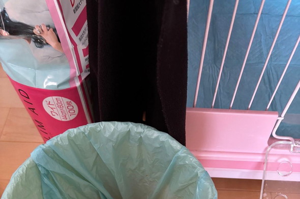 ゴミ箱にすっぽり入っているコールダック