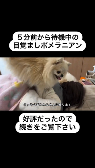 あみたんさんの上に乗っかる作戦