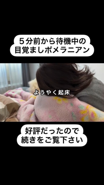 やっと起床したあみたんさん