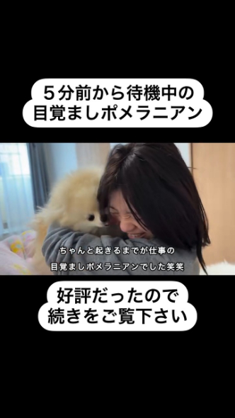 それでもぺろぺろする3匹