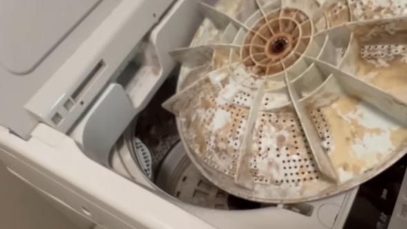 2019年洗濯機パルセーター裏の汚れ