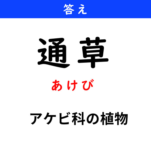 漢字クイズ　難読漢字　通草