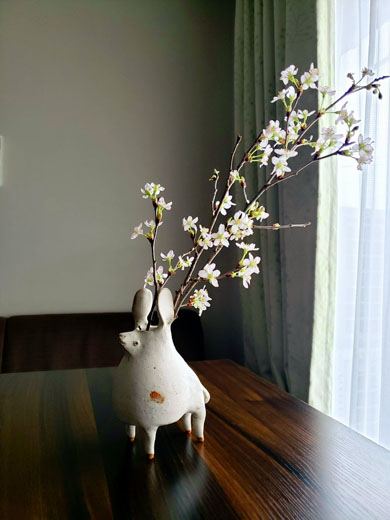ミスドでお花見