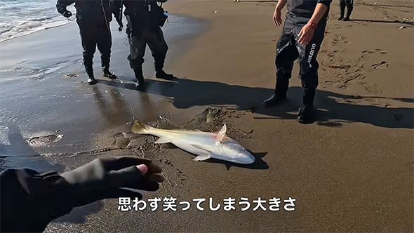 思わず笑っています