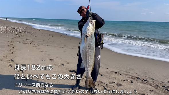 オオニベを持ちあげる