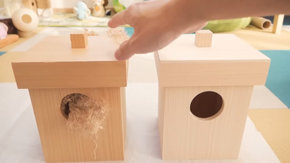 シマリス 巣箱 開けたら 溜め込む 貯食 1キロ 大量