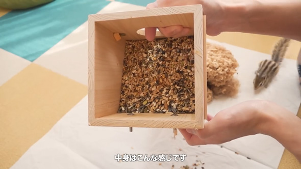 シマリス 巣箱 開けたら 溜め込む 貯食 1キロ 大量