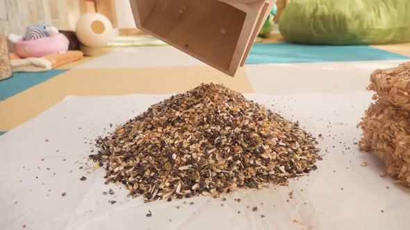 シマリス 巣箱 開けたら 溜め込む 貯食 1キロ 大量