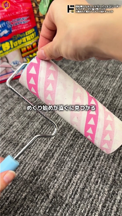 ドン・キホーテの便利なカーペットクリーナー