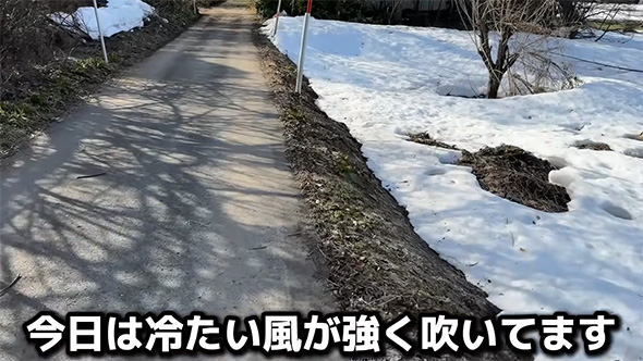 今日は冷たい