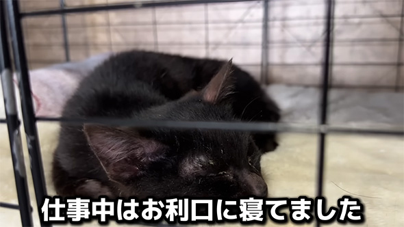 仕事中はおりこうに