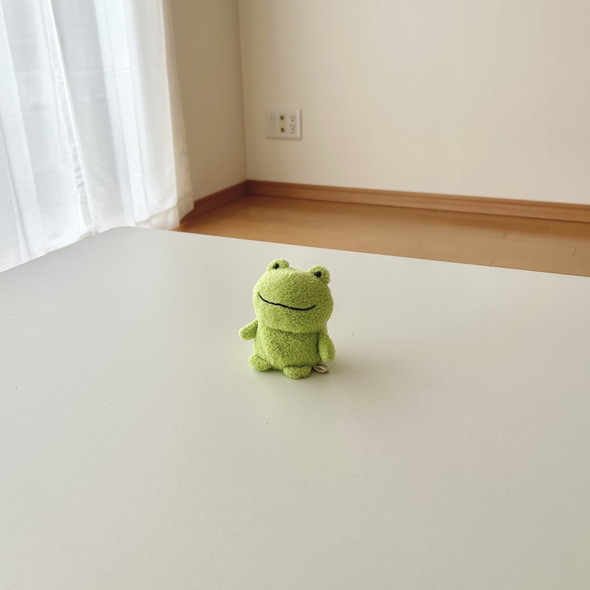 ひとり暮らしの部屋