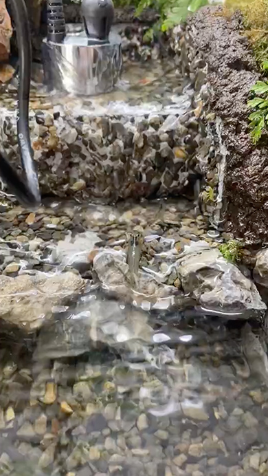 想像の10倍くらいアクティブなエビ