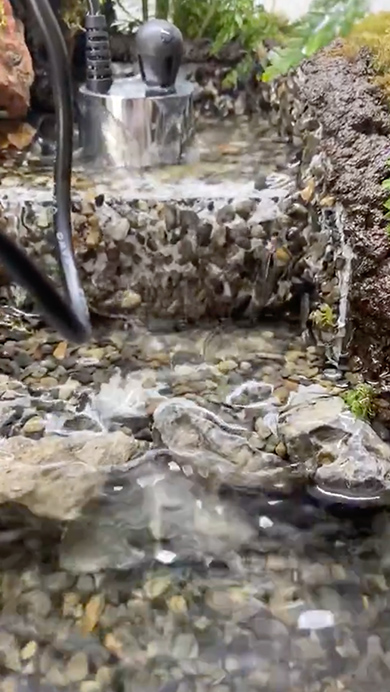 想像の10倍くらいアクティブなエビ