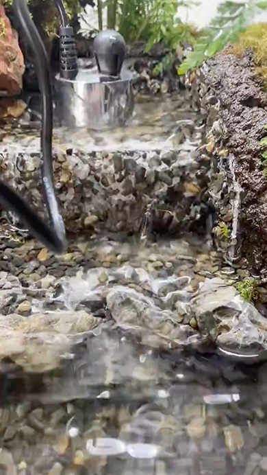 想像の10倍くらいアクティブなエビ